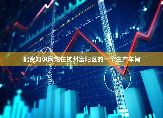 配资知识网站在杭州富阳区的一个生产车间