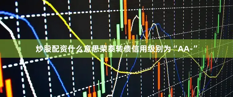 炒股配资什么意思荣泰转债信用级别为“AA-”