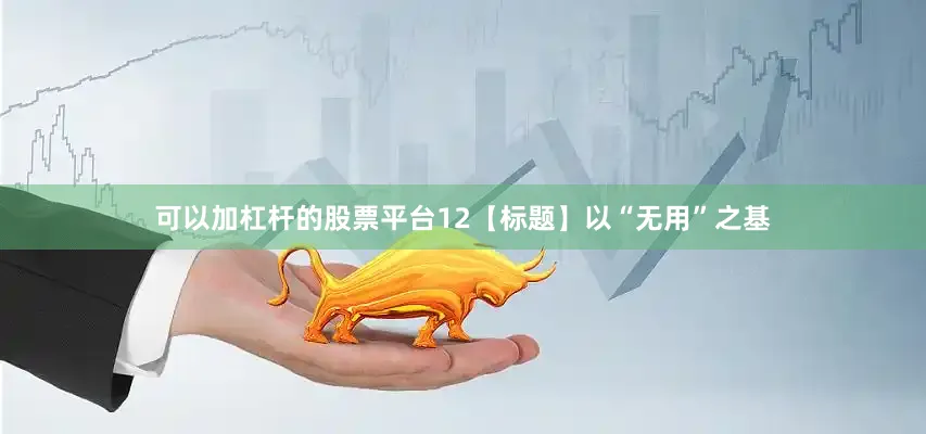 可以加杠杆的股票平台12【标题】以“无用”之基